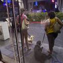 Yappy Hour At Rumors