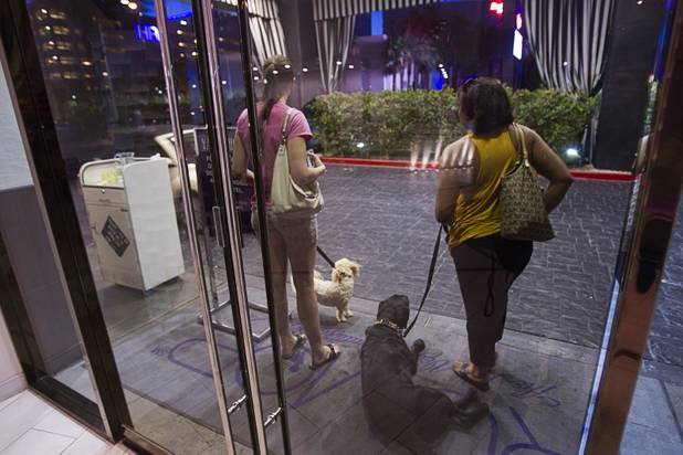 Dog owners wait for their cars after "Yappy Hour" at  Rumor Thursday, June 20, 2013. The boutique hotel opens its courtyard to dog lovers on the third Thursday of every month.