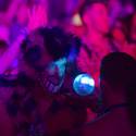 2013 Electric Daisy Carnival: Day 3