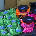 2013 Electric Daisy Carnival: Day 3