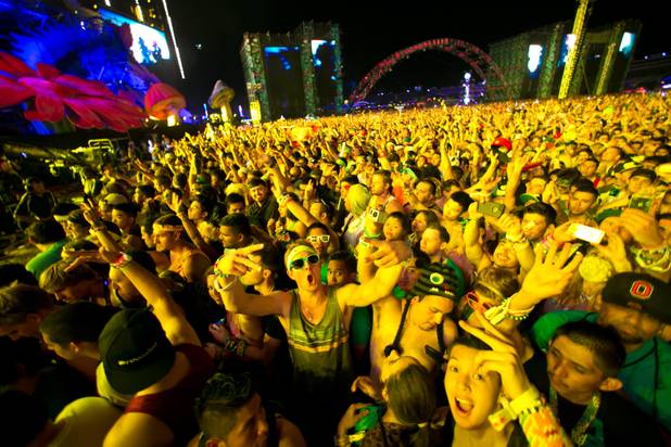 Festival goers listen to Avicii during night 2 of the Electric Daisy Carnival, Saturday June 22, 2013.