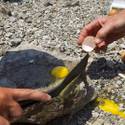Death Valley Approaches Record Temperature