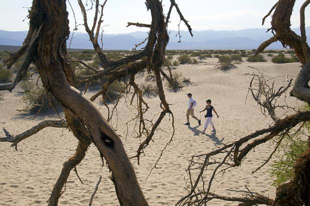 Marco Rizzelli, left, and Sara Calcinaro of Italy walk in the Mesquite Dunes as high temperatures approach record numbers in Death Valley National Park Saturday, June 29, 2013.