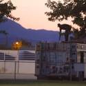 Firefighters in Pahrump