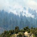 Mount Charleston Wildfire Tour