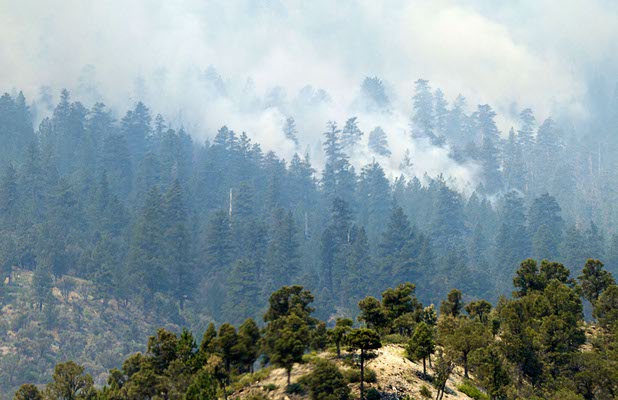 Smoke from the Carpenter 1 wildfire is shown from Kyle Canyon Road on the way up to Mount Charleston Tuesday, July 9, 2013.