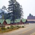 Mount Charleston Wildfire Tour