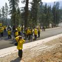 Mount Charleston Wildfire Tour
