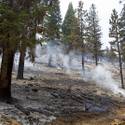 Mount Charleston Wildfire Tour