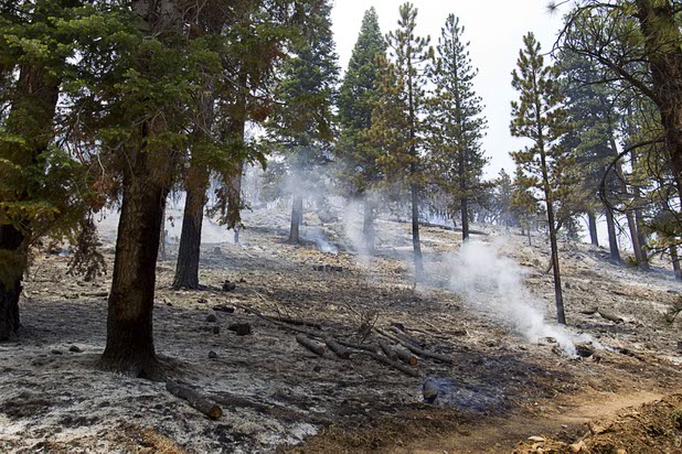 Smoke rises from hot spots after a burn out (purposely setting fire inside a control line to consume fuel) on a slope in the Rainbow subdivision on Mount Charleston Tuesday, July 9, 2013.