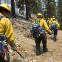 Mount Charleston Wildfire Tour