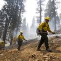 Mount Charleston Wildfire Tour