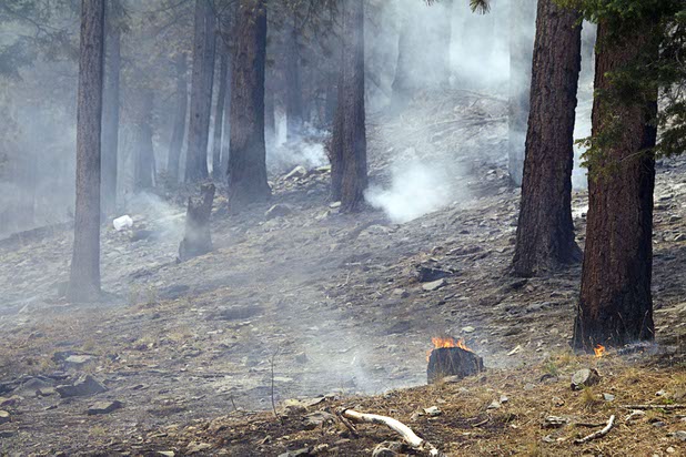 Smoke rises from hot spots after a burn out (purposely setting fire inside a control line to consume fuel) on a slope in the Rainbow subdivision on Mount Charleston Tuesday, July 9, 2013.