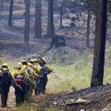 Mount Charleston Wildfire Tour