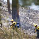 Mount Charleston Wildfire Tour