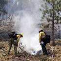 Mount Charleston Wildfire Tour