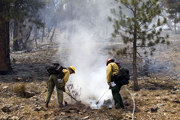 A firefighter puts water on a smoldering stump after a burnout in the Rainbow subdivision on Mount Charleston Tuesday, July 9, 2013.
