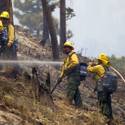 Mount Charleston Wildfire Tour