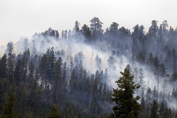 Smoke rises from the forest south of Kyle Canyon Road on Mount Charleston Tuesday, July 9, 2013.