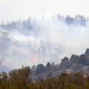 Mount Charleston Wildfire Tour