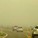 Mount Charleston Wildfire Tour