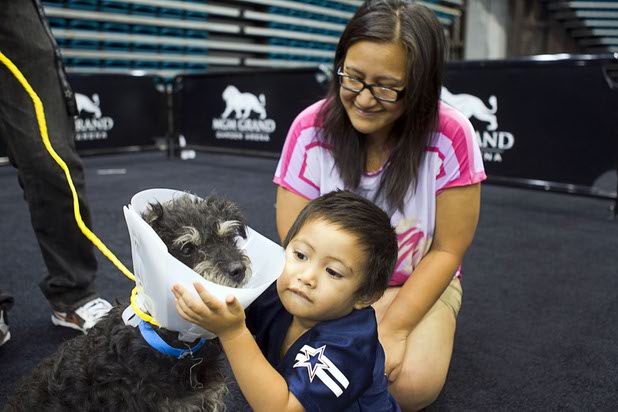 Jude Morland, 2, gives a hug to "Goober," a terrier mix as his mother Charmaine looks on during the annual Charlies Angels Pet Adoption Fair at the MGM Grand Garden Arena Thursday, July 11, 2013. Scott Sibella, president/COO of MGM Grand, and his wife Kim picked up the adoption fees for any MGM employee that wanted to adopt a dog or cat.