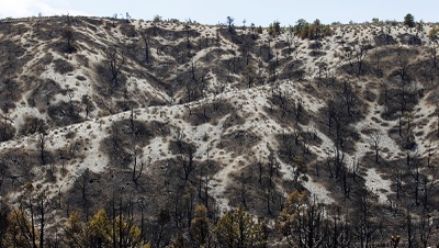 Nevada officials stress being proactive to prevent wildfires