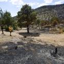 Trout Canyon Residents Back In Homes