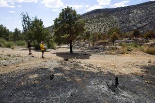 Residents Don Kubinski, left, and Dave Mallory look over the forest behind their homes in Trout Canyon Monday, July 15, 2013. Residents were allowed to return to their homes Sunday.
