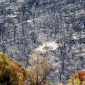 Trout Canyon Residents Back In Homes