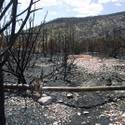 Trout Canyon Residents Back In Homes
