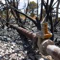 Trout Canyon Residents Back In Homes