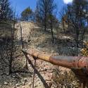 Trout Canyon Residents Back In Homes