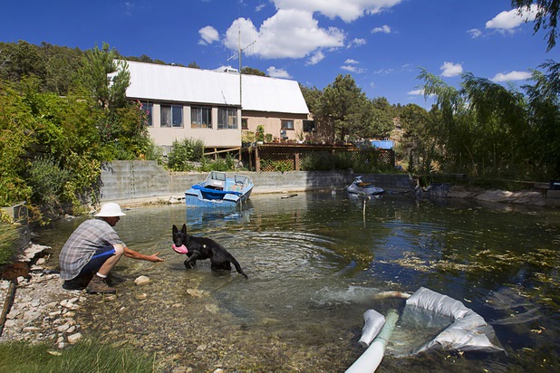 Greg Jameson plays with his dog Zane, a six-month-old German Shepherd, at his home in Trout Canyon Monday, July 15, 2013. Firefighters used water from his pond to fight the fire but the pond was being refilled. Residents were allowed to return to their homes Sunday but have no running water.