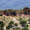 Trout Canyon Residents Back In Homes