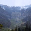 Mount Charleston To Reopen After Fire