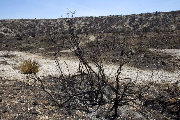 A burned area is shown by Kyle Canyon Road and Harris Springs Road on Mount Charleston Thursday, July 18, 2013. The mountain is expected to reopen to the public on Friday.