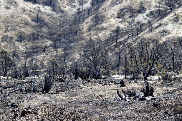 A burned area is shown by Kyle Canyon Road and Harris Springs Road on Mount Charleston Thursday, July 18, 2013. The mountain is expected to reopen to the public on Friday.