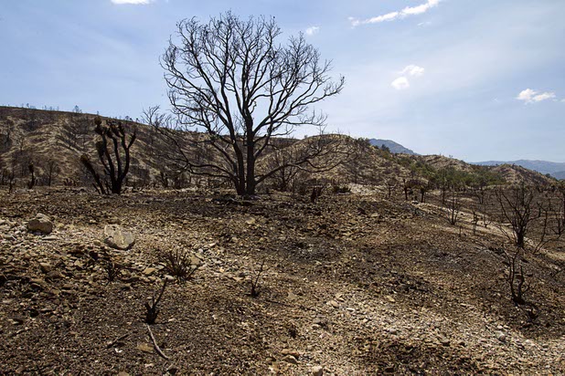 A burned area is shown by Kyle Canyon Road and Harris Springs Road on Mount Charleston Thursday, July 18, 2013. The mountain is expected to reopen to the public on Friday.