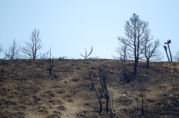 A burned area is shown by Kyle Canyon Road and Harris Springs Road on Mount Charleston Thursday, July 18, 2013. The mountain is expected to reopen to the public on Friday.