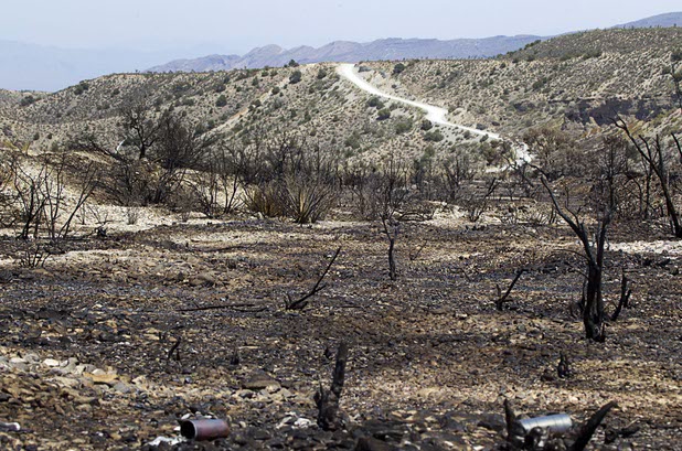 A burned area is shown by Kyle Canyon Road on Mount Charleston Thursday, July 18, 2013. Harris Springs Road is shone in the background. The mountain is expected to reopen to the public on Friday.