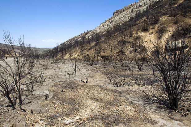 A burned area is shown by Harris Springs Road on Mount Charleston Thursday, July 18, 2013. The mountain is expected to reopen to the public on Friday.