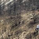 Mount Charleston To Reopen After Fire
