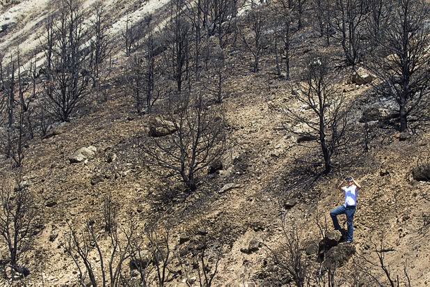 A reporter takes a photo of a burned area by Harris Springs Road on Mount Charleston Thursday, July 18, 2013. The mountain is expected to reopen to the public on Friday.