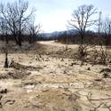 Mount Charleston To Reopen After Fire