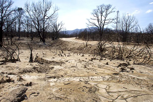 A burned area is shown by Harris Springs Road on Mount Charleston Thursday, July 18, 2013. The mountain is expected to reopen to the public on Friday.