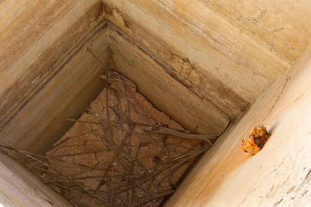 A water cistern is shown by a home at the town of St. Thomas in the Lake Mead National Recreation Area Monday, July 22, 2013. The town started as a farming settlement in 1865 but was covered by the rising waters of Lake Mead in the 1930's after the construction of Hoover Dam.