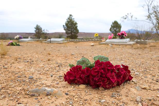 Artificial flowers, scattered by a recent storm, are shown in the St. Thomas Memorial Cemetery in Overton Monday, July 22, 2013. The cemetery was moved from St. Thomas in 1935. The town started as a farming settlement in 1865 but was covered by the rising waters of Lake Mead in the 1930's after the construction of Hoover Dam.