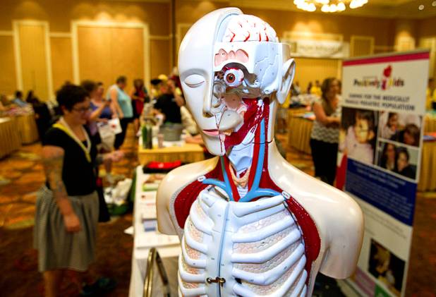 An unnamed human torso appears to keep an eye on things at the Discovery Children's Museum booth during MGM Resorts' annual Educator Appreciation Day and Back to School Fair at the Mirage Thursday, Aug. 22, 2013. More than 18,000 teachers were invited to gather schools supplies donated by MGM Resorts employees.