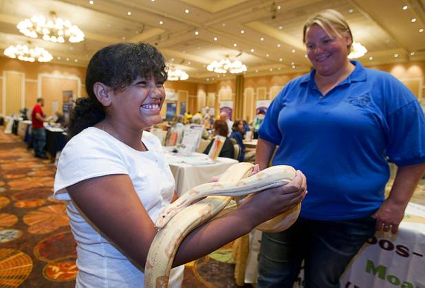 Fifth grader De'Ann Santiago, 10, holds "Nigini," a red-tailed boa constrictor as Carrie Marques, animal care manager at Roos-N-More Zoo (Moapa, Nev.) looks on during MGM Resorts' annual Educator Appreciation Day and Back to School Fair at the Mirage Thursday, Aug. 22, 2013. More than 18,000 teachers were invited to gather schools supplies donated by MGM Resorts employees.
